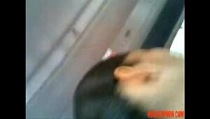 Touching wife on bus, appreciate high-quality videos featuring intense fucking