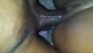 Porn mexico, hd videos of crazy pussies being fucked