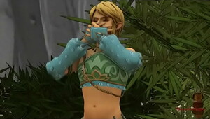 Zelda and link, HD porn for maximum excitement
